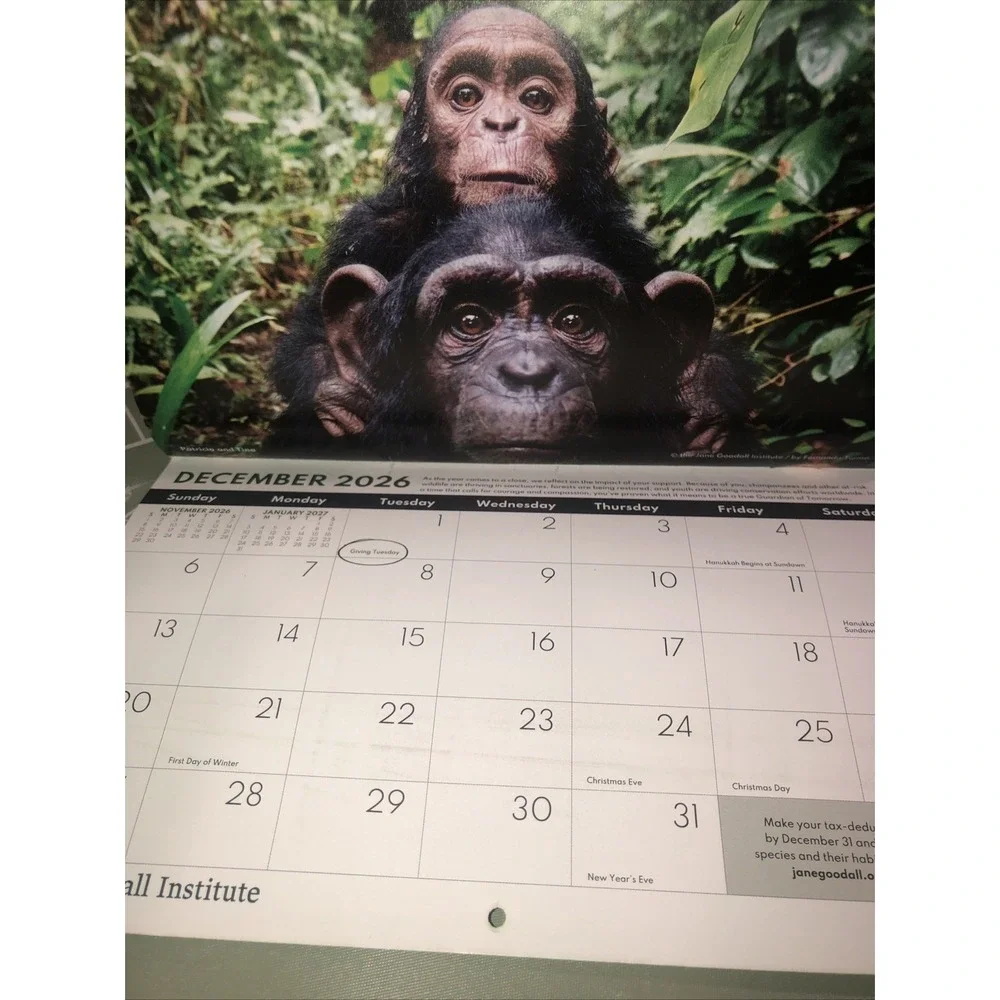 Jane Goodall Institute Apes & Chimps - 2026 SMALL Wall Calendar 17 Months NEW